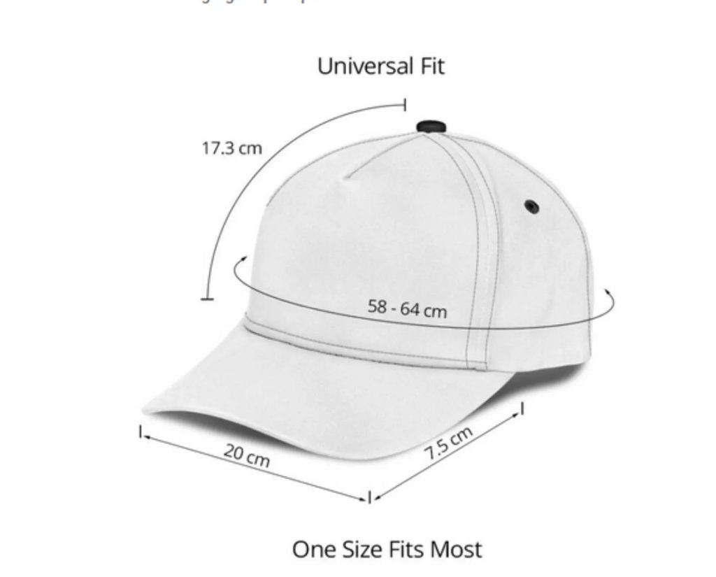Los Angeles Dodgers World Series 2025 Champions Cap